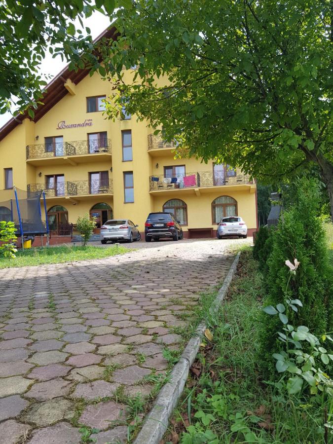Pensiunea Ruxandra Băile 1 Mai Zewnętrze zdjęcie