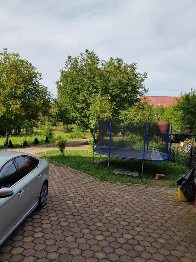 Pensiunea Ruxandra Băile 1 Mai Zewnętrze zdjęcie